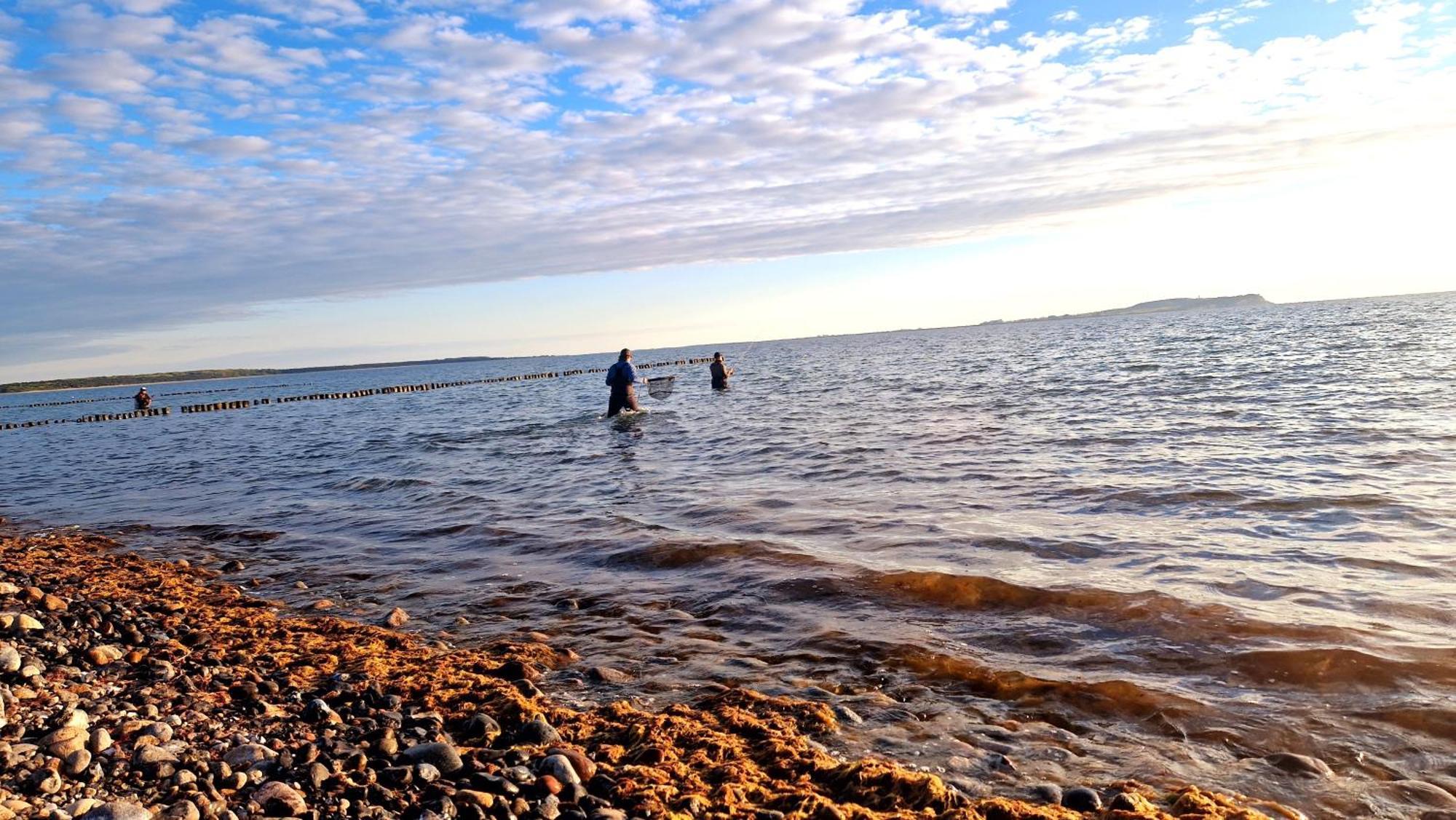 App 7O Kleinertag Am Meer Dranske Bagian luar foto